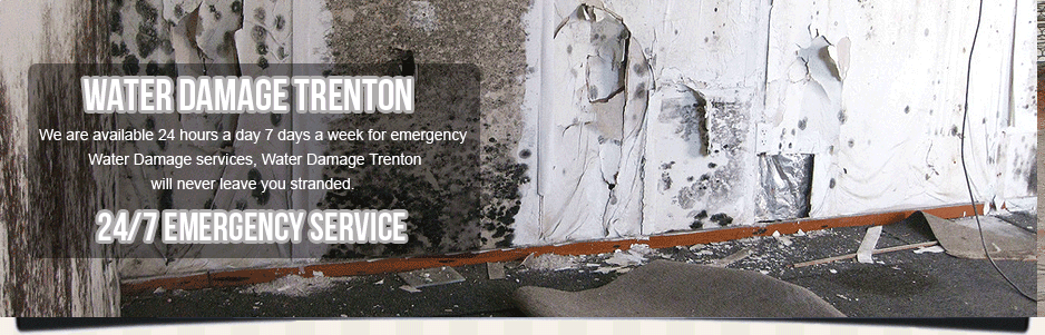 Mold Removal Trenton