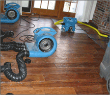 Excess Water Removal and Drying